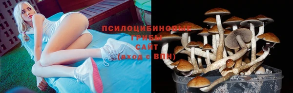 мескалин Алексин