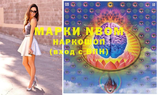 PSILOCYBIN Алзамай